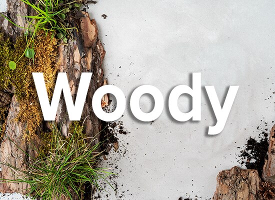 Woody